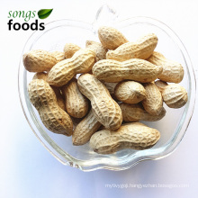Wholesale Peanuts In Shell with Superior Quality